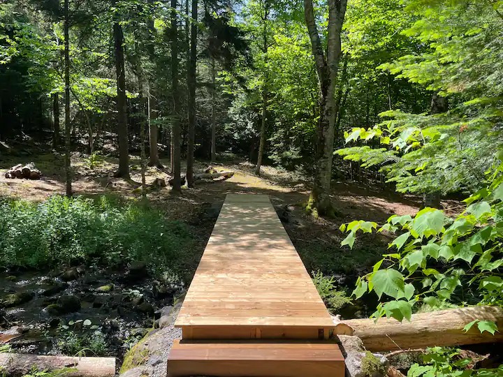 Private wooden bridge over the brook in summer forest