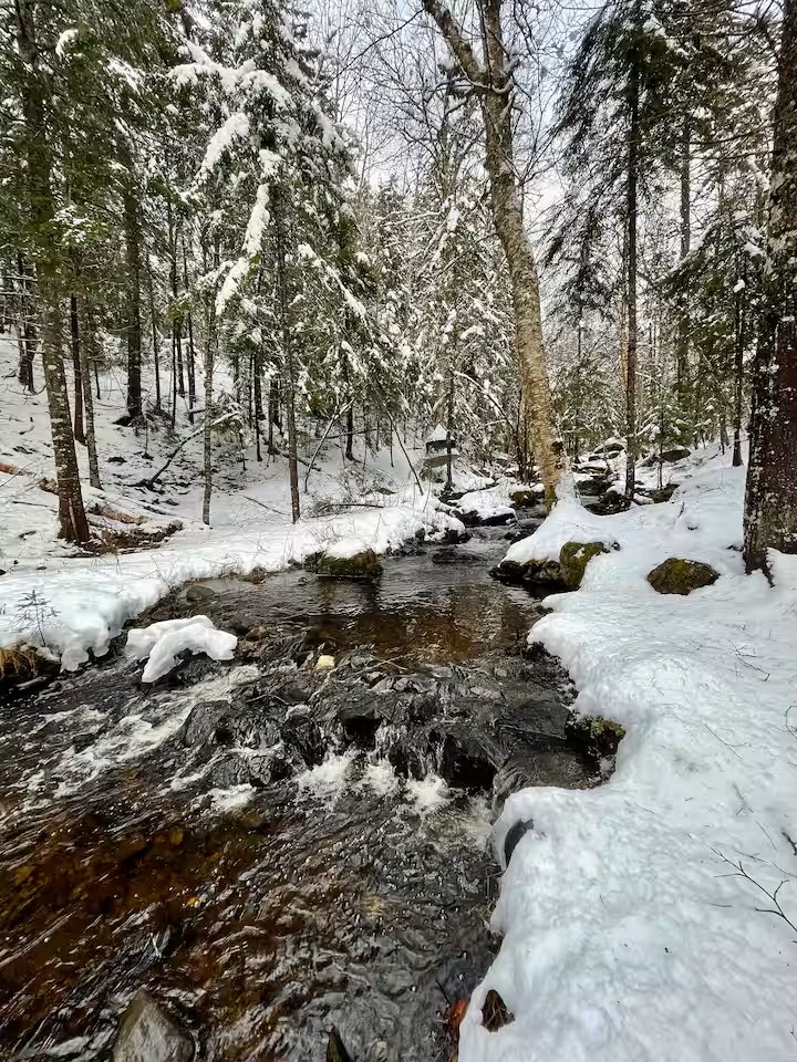 Brook rushing through snowy forest in winter