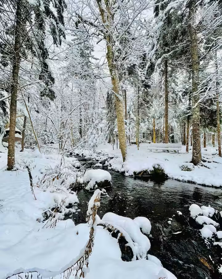 Snow-covered brook with bench in winter forest